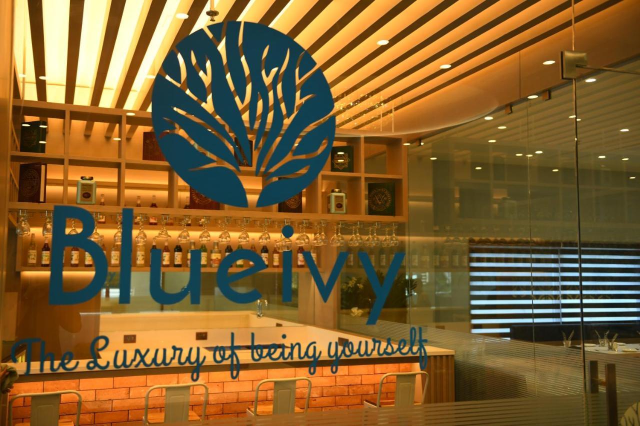 Hotel Blueivy Ānand Extérieur photo